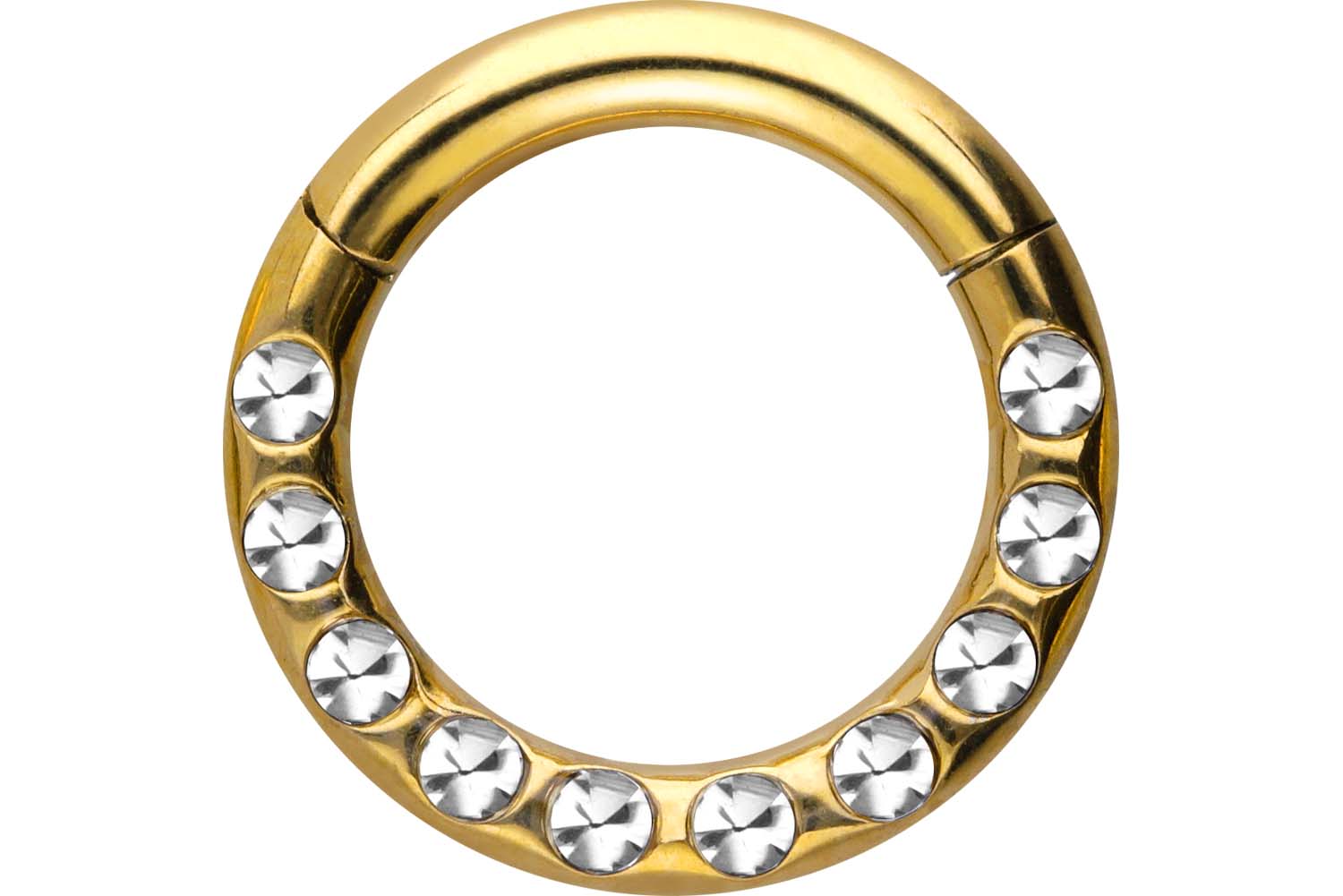 Chirurgenstahl Segmentring Clicker Piercing KRISTALLE + EPOXY ++SALE++